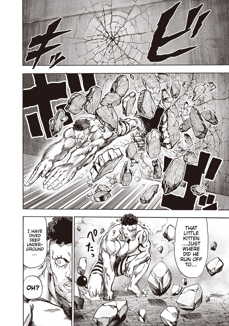 One Punch Chapter 115 Image 3